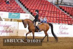 18BUCK_01621 proof