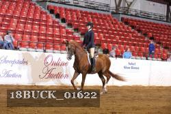 18BUCK_01622 proof