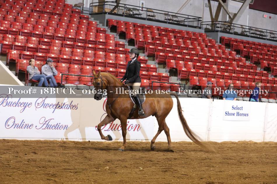 Proof 18BUCK_01623