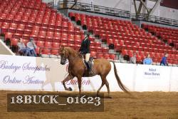 18BUCK_01623 proof