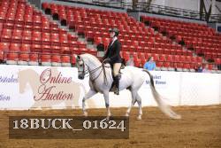 18BUCK_01624 proof