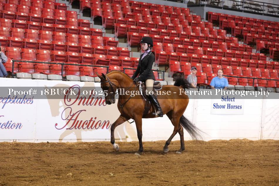 Proof 18BUCK_01625