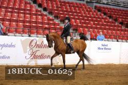 18BUCK_01625 proof