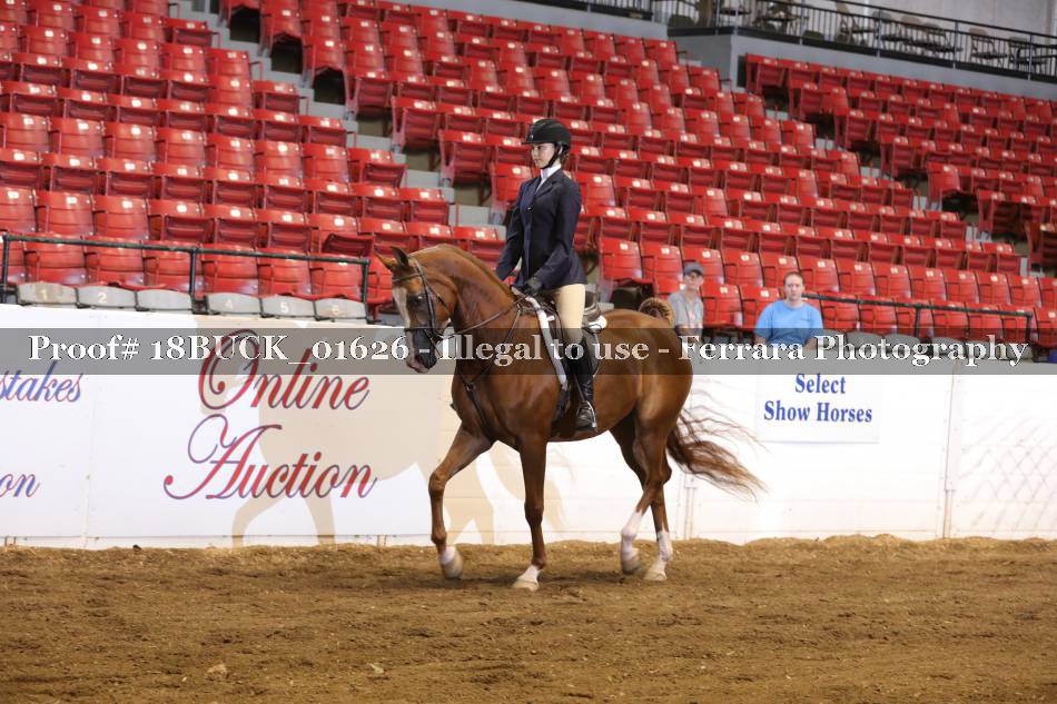 Proof 18BUCK_01626