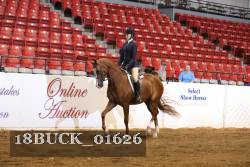 18BUCK_01626 proof