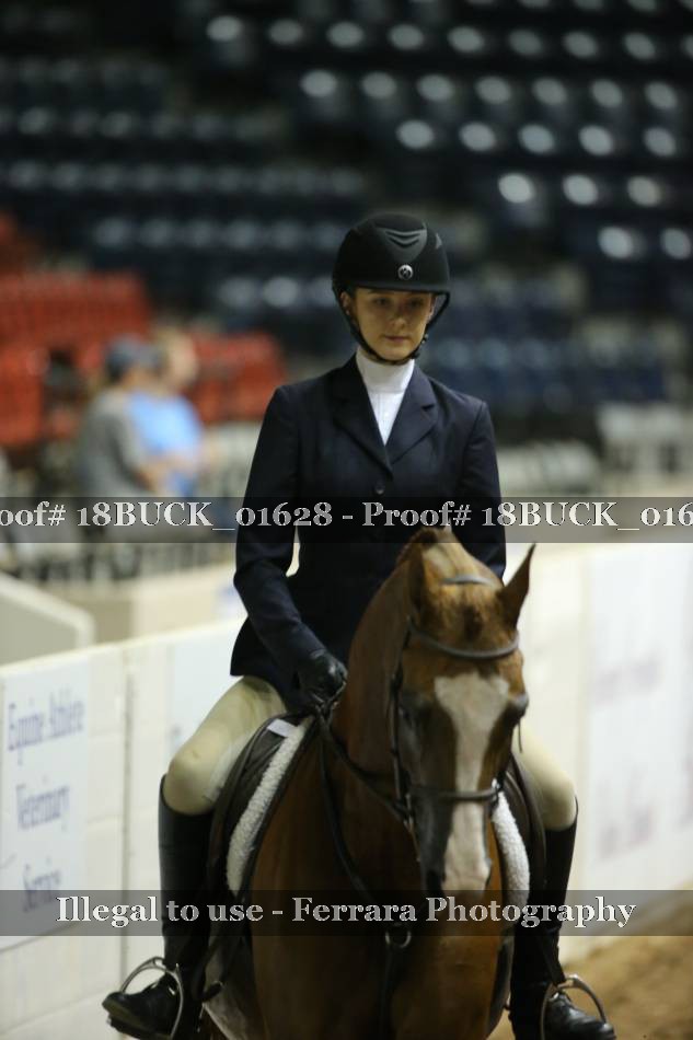 Proof 18BUCK_01628