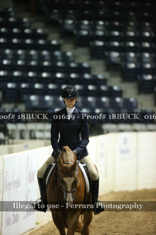 Proof 18BUCK_01629