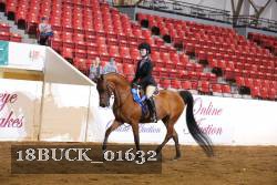 18BUCK_01632 proof