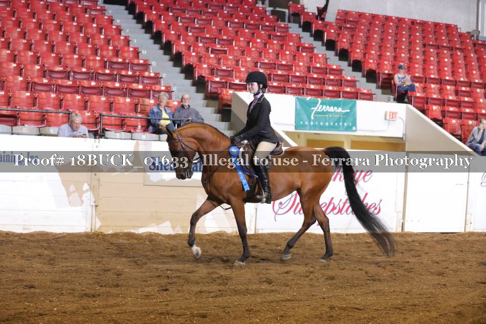 Proof 18BUCK_01633