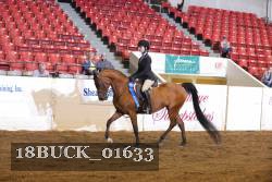 18BUCK_01633 proof