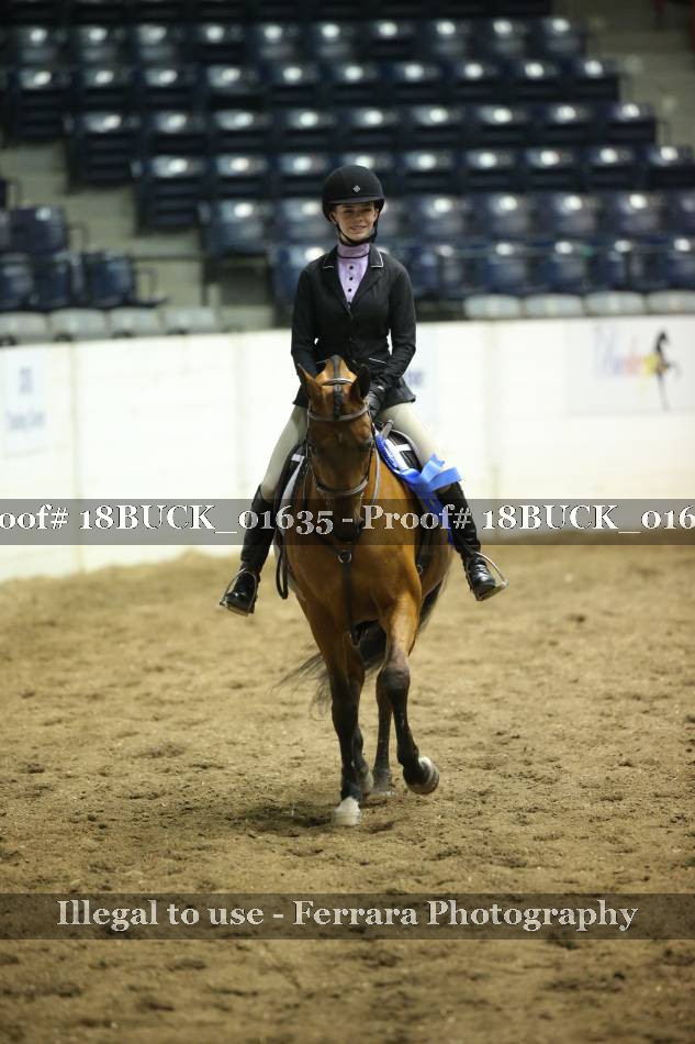 Proof 18BUCK_01635