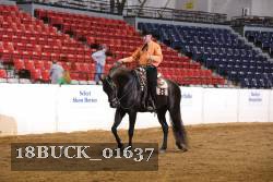 18BUCK_01637 proof