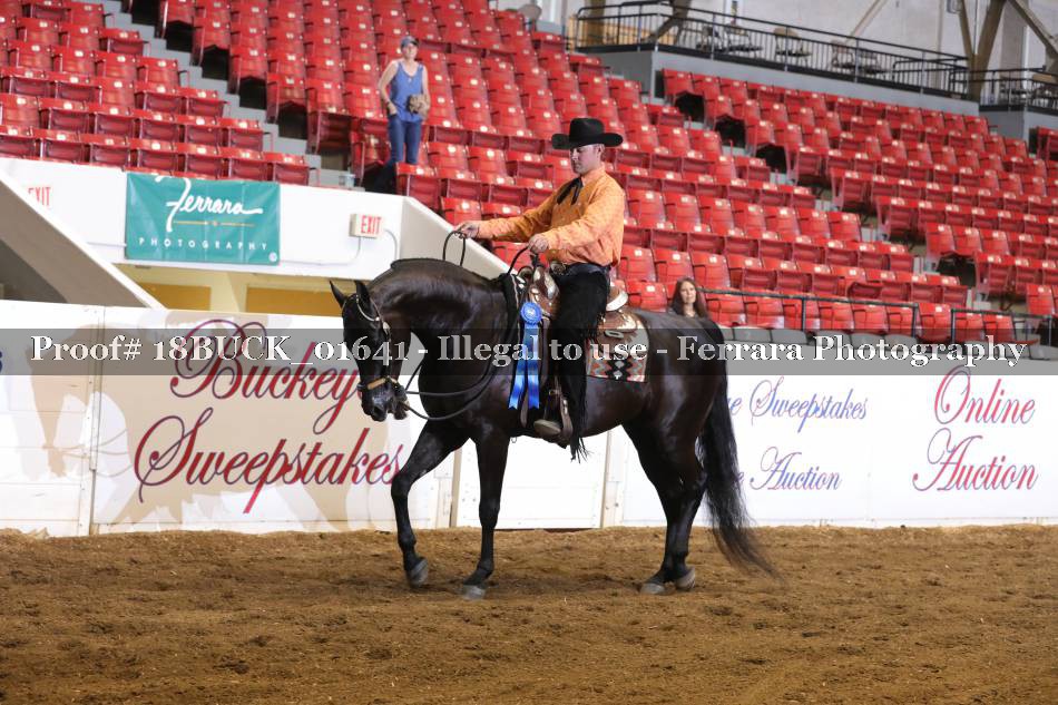 Proof 18BUCK_01641