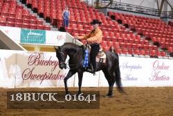 18BUCK_01641 proof