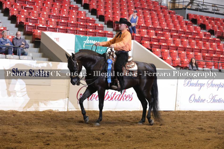 Proof 18BUCK_01642