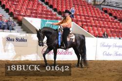 18BUCK_01642 proof