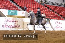 18BUCK_01644 proof