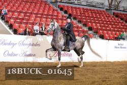 18BUCK_01645 proof