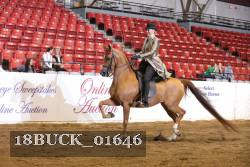 18BUCK_01646 proof