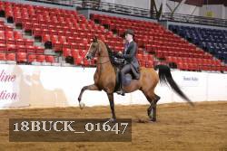 18BUCK_01647 proof