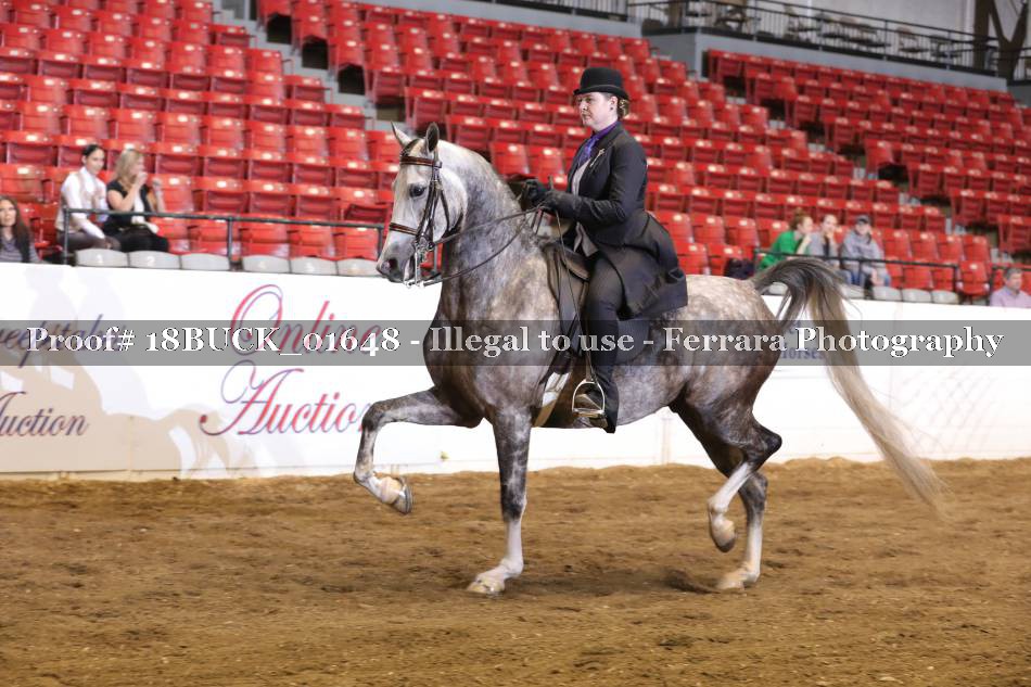 Proof 18BUCK_01648