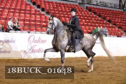 18BUCK_01648 proof
