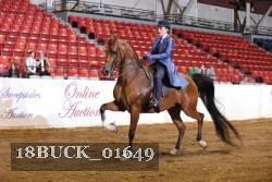 18BUCK_01649 proof
