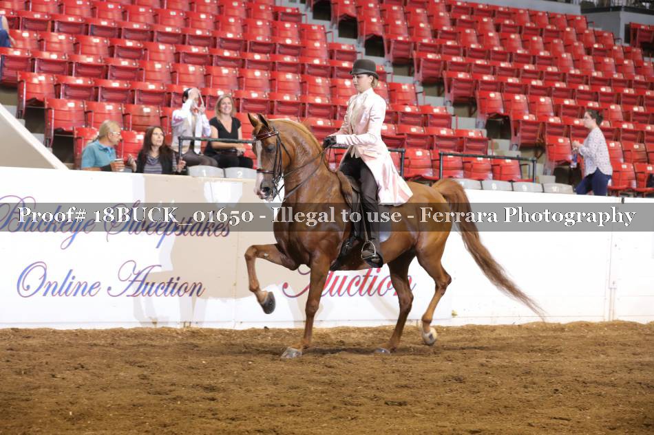 Proof 18BUCK_01650