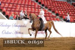 18BUCK_01650 proof