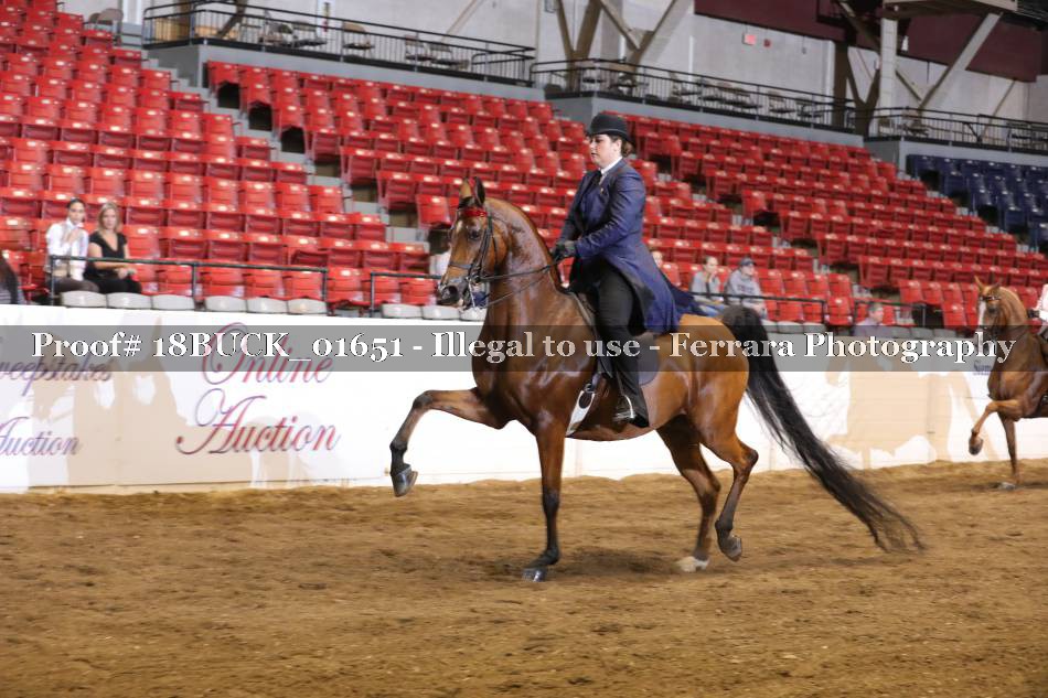 Proof 18BUCK_01651