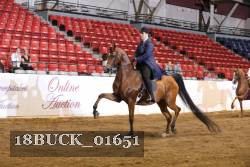 18BUCK_01651 proof