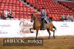 18BUCK_01653 proof