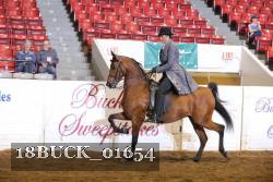 18BUCK_01654 proof