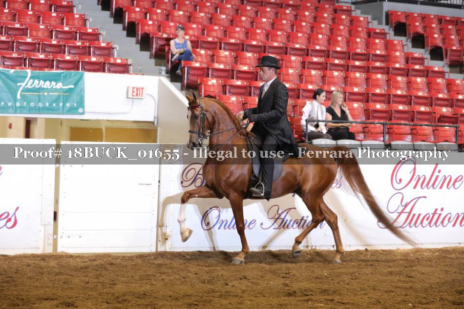 Proof 18BUCK_01655