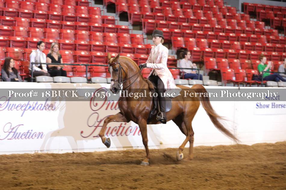 Proof 18BUCK_01656
