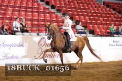 18BUCK_01656 proof