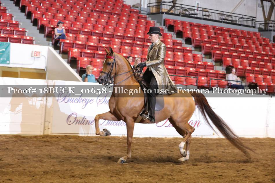 Proof 18BUCK_01658