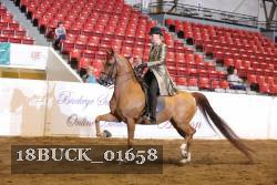 18BUCK_01658 proof