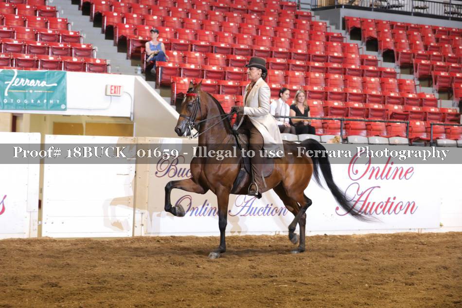 Proof 18BUCK_01659
