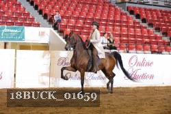 18BUCK_01659 proof