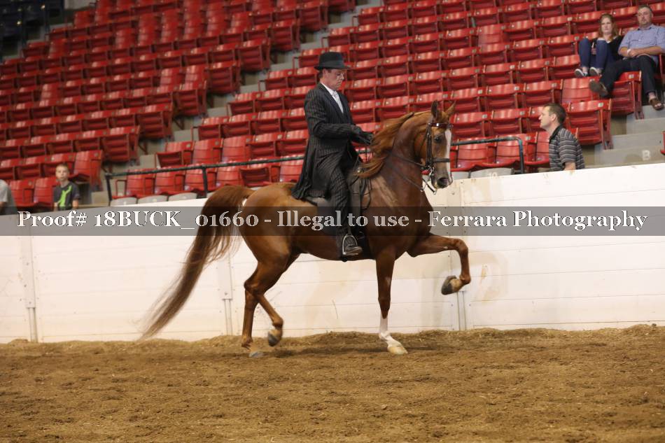 Proof 18BUCK_01660