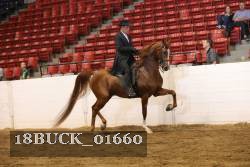 18BUCK_01660 proof