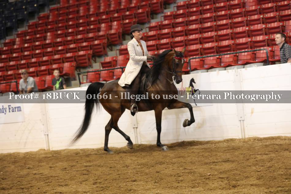 Proof 18BUCK_01661