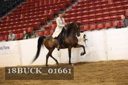 18BUCK_01661 proof