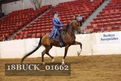 18BUCK_01662 proof