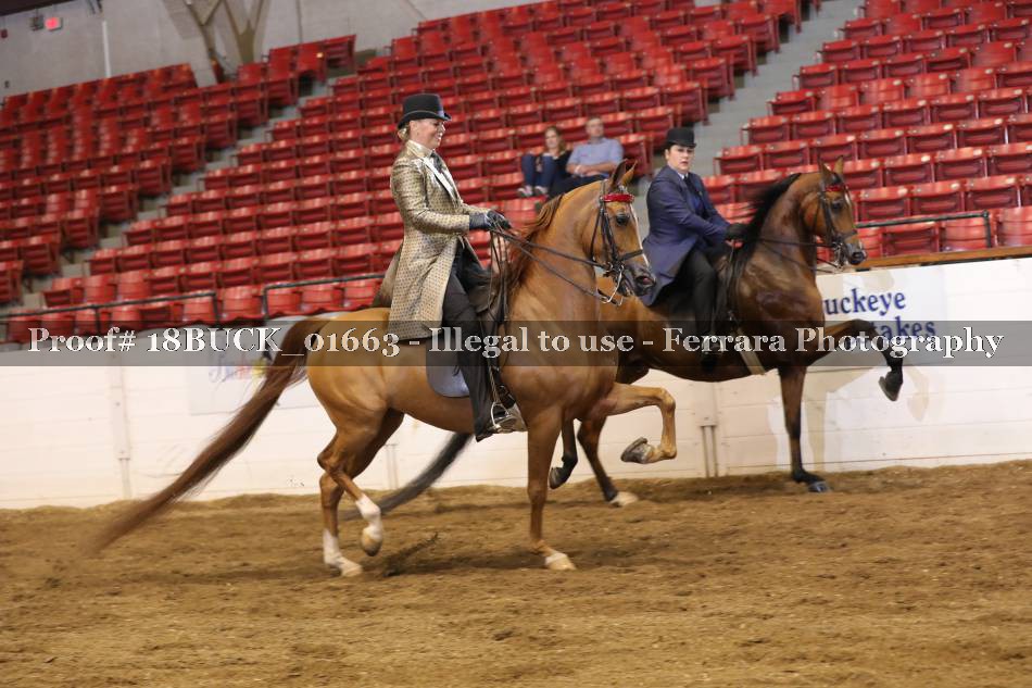 Proof 18BUCK_01663