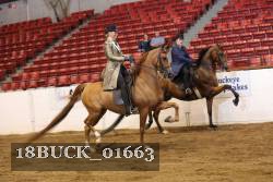 18BUCK_01663 proof