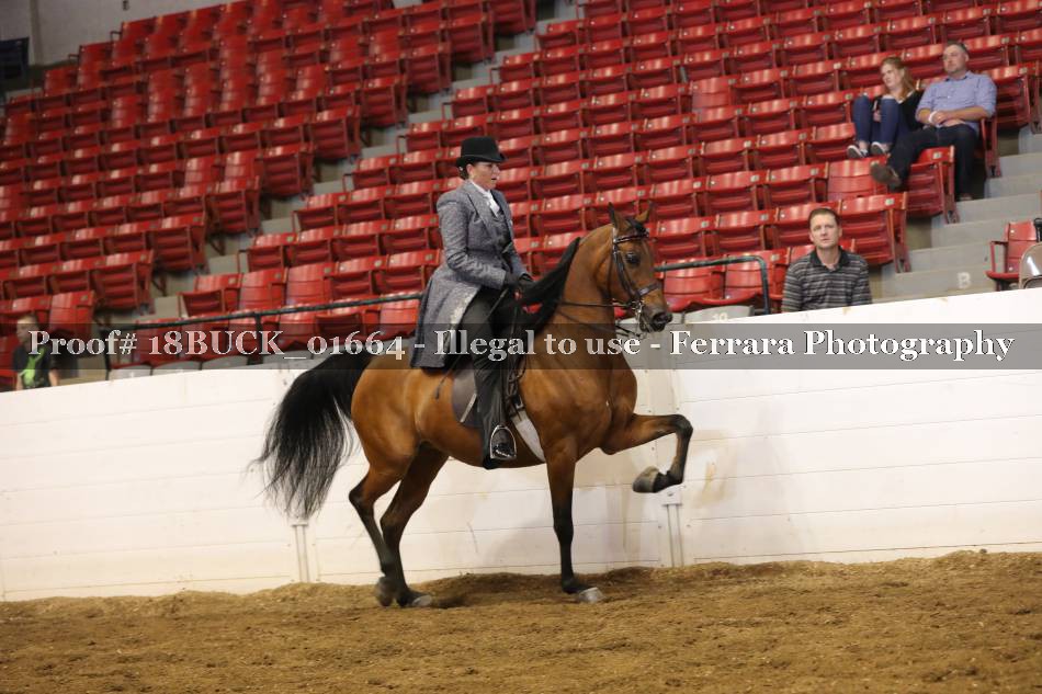 Proof 18BUCK_01664