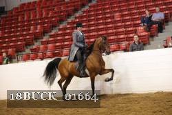 18BUCK_01664 proof