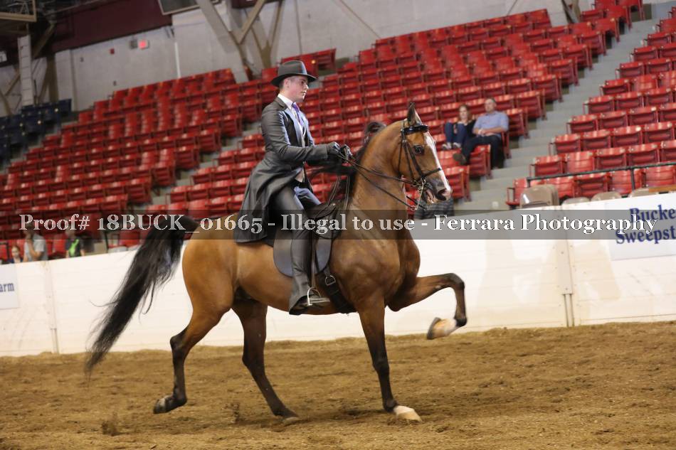 Proof 18BUCK_01665